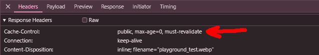 Cache-Control header having max-age set to zero and must-revalidate